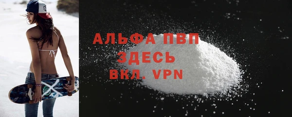 крисы Абаза