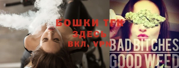 крисы Абаза