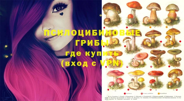 кокс Алексеевка