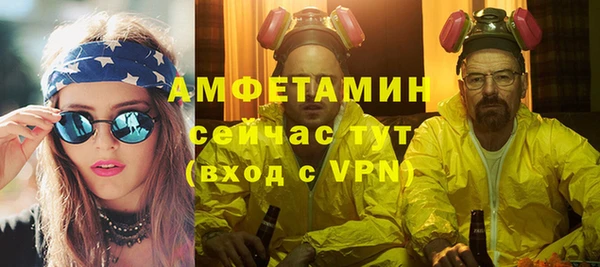 крисы Абаза